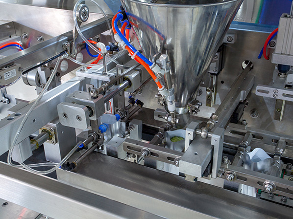frozen fish packing machine