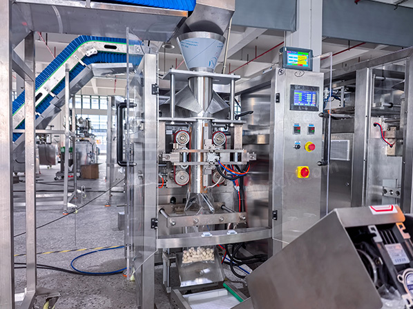 frozen foods packaging machine