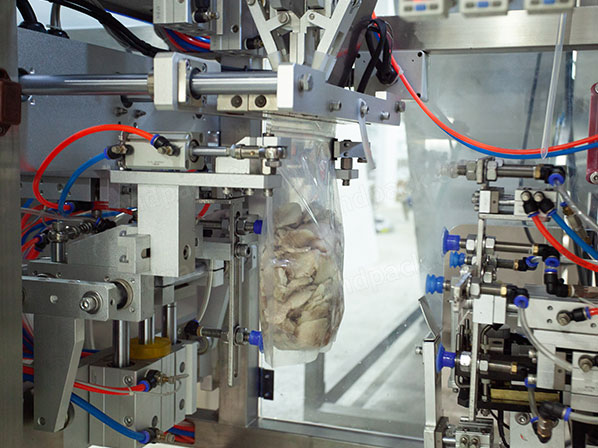 frozen food packaging machine