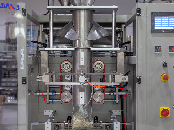 frozen fish packing machine