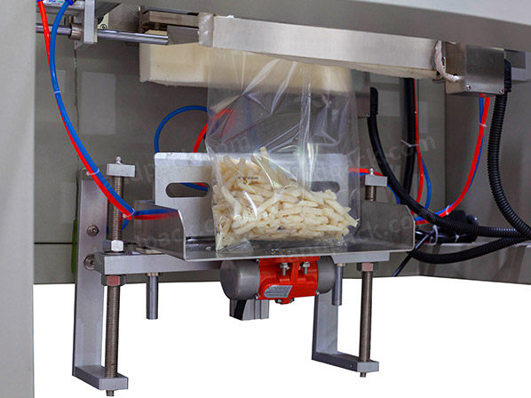frozen food packing machine