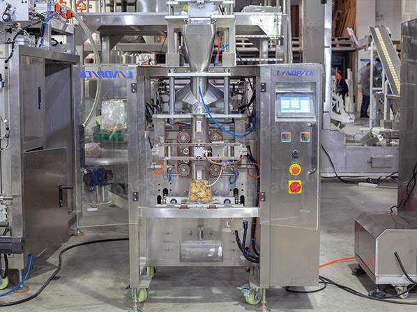 frozen food packing machine