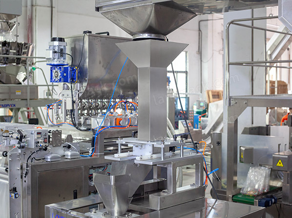 frozen fish packing machine