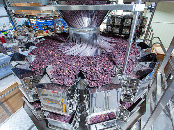frozen food packaging equipment