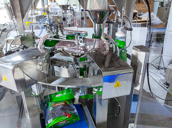 frozen food packaging machine