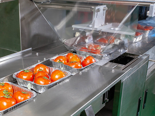 frozen food packaging equipment