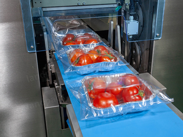 frozen food packaging machine