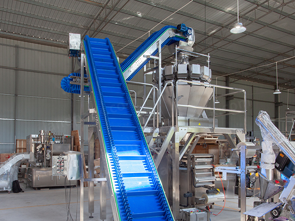 ice packing machine price