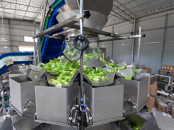 ice cube packing machine