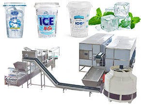 ice cube packing machine