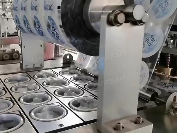 automatic ice packing machine