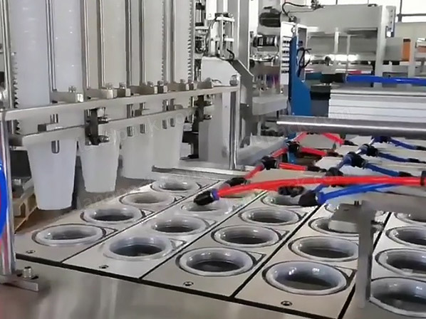 automatic ice packing machine