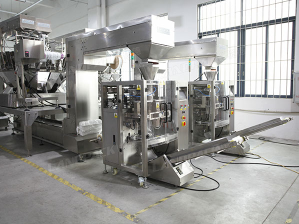 automatic nuts packing machine