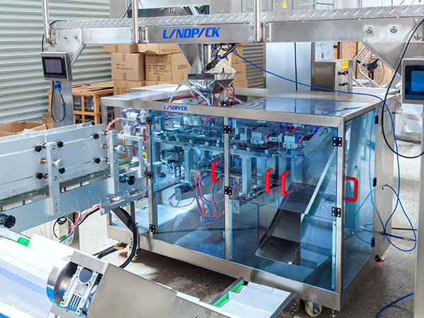 automatic nuts packing machine