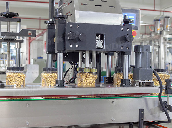 microwave popcorn packaging machine manufacturer