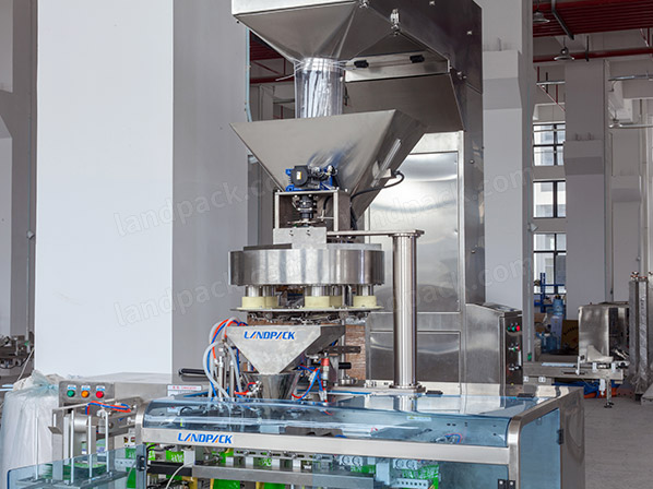 salt doypack packing machine