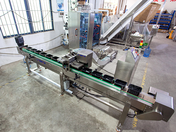 sachet packing machine