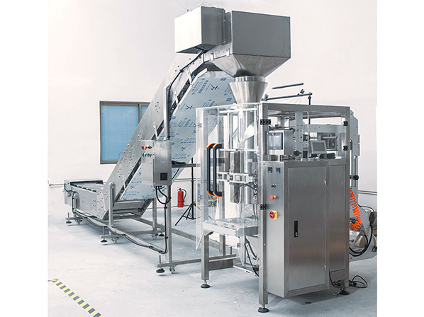 banana chips packing machine