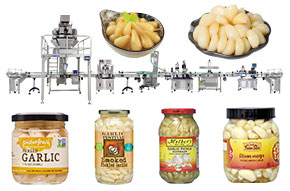 garlic filling machine