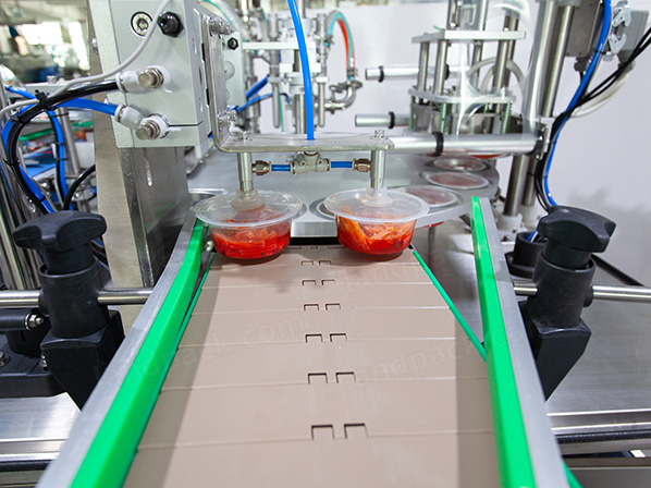 pickle filling machine price
