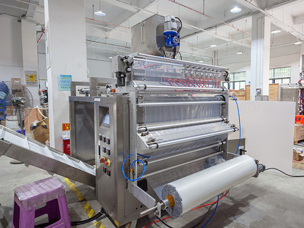 multi lane packing machine