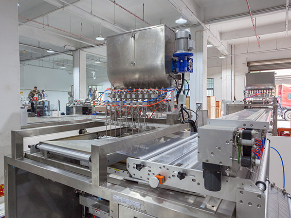 multi lane packaging machine