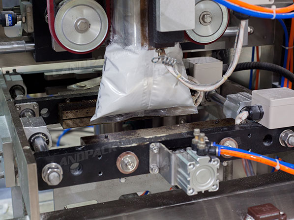 fully automatic detergent powder packing machine