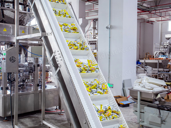 rotary pouch filling machine
