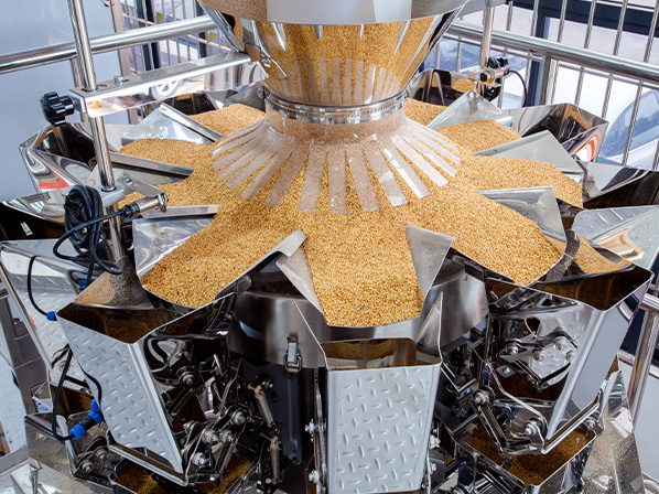 rotary pouch filling machine