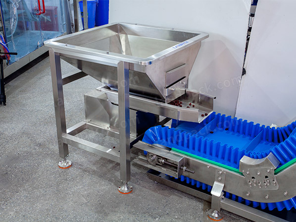 zipper pouch packing machine price