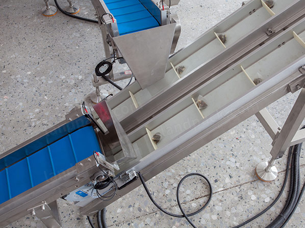 tea sachet packing machine 