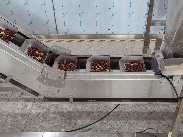 dry fruit packing machine