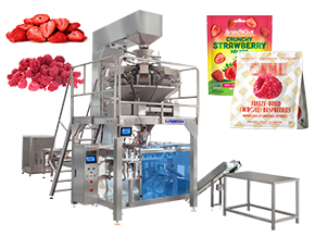stand up pouch filling machine