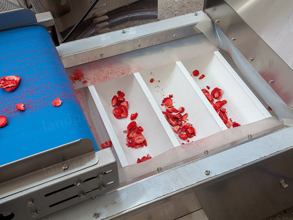 stand up pouch filling and sealing machine