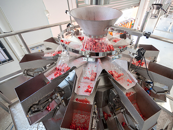 dry fruit packing machine