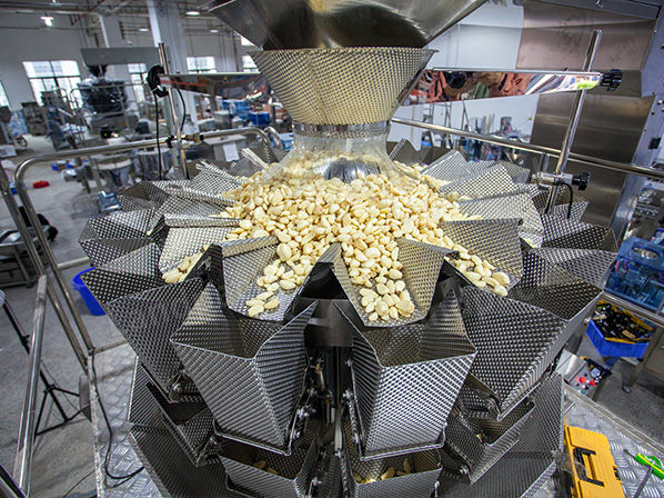 stand up pouch packaging machine