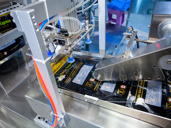 standy pouch packing machine