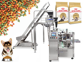 standing pouch packing machine